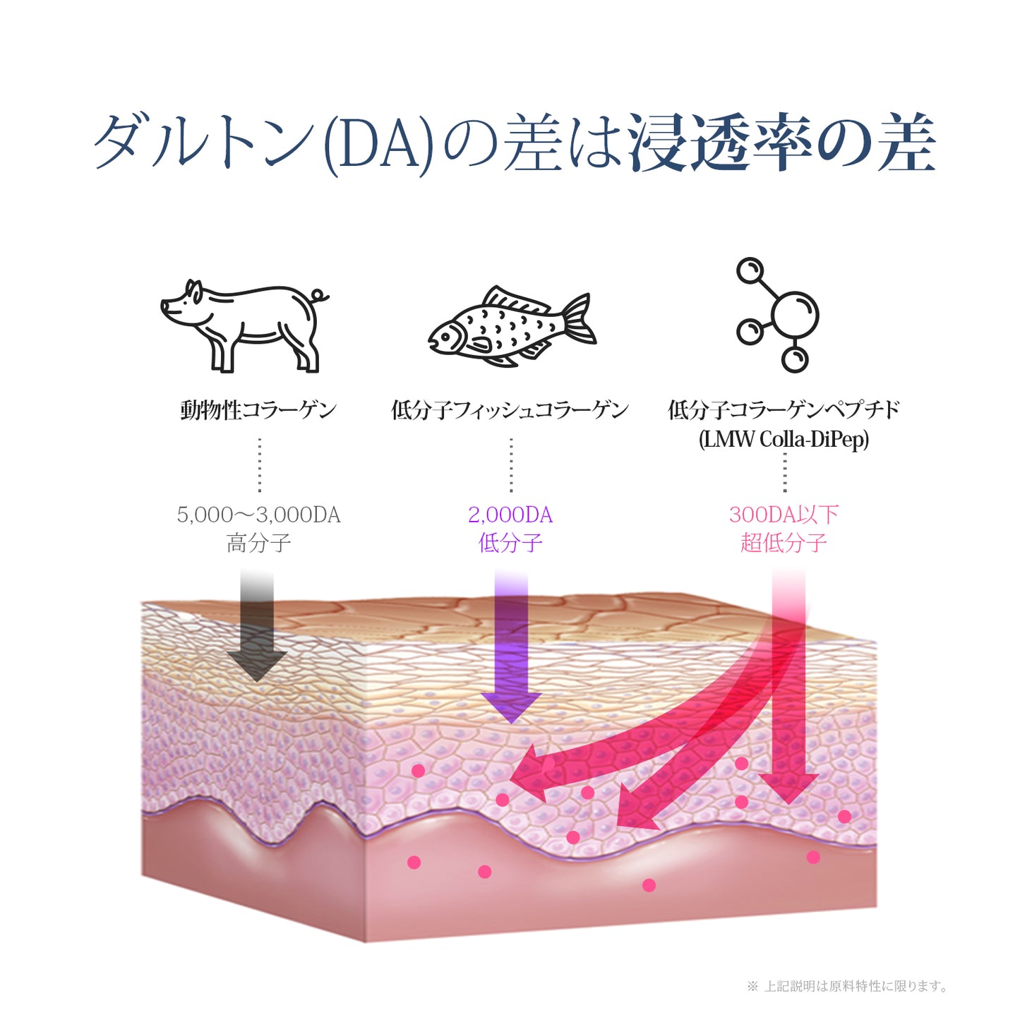 エルツティン プレステージEXトナー(130ml)
