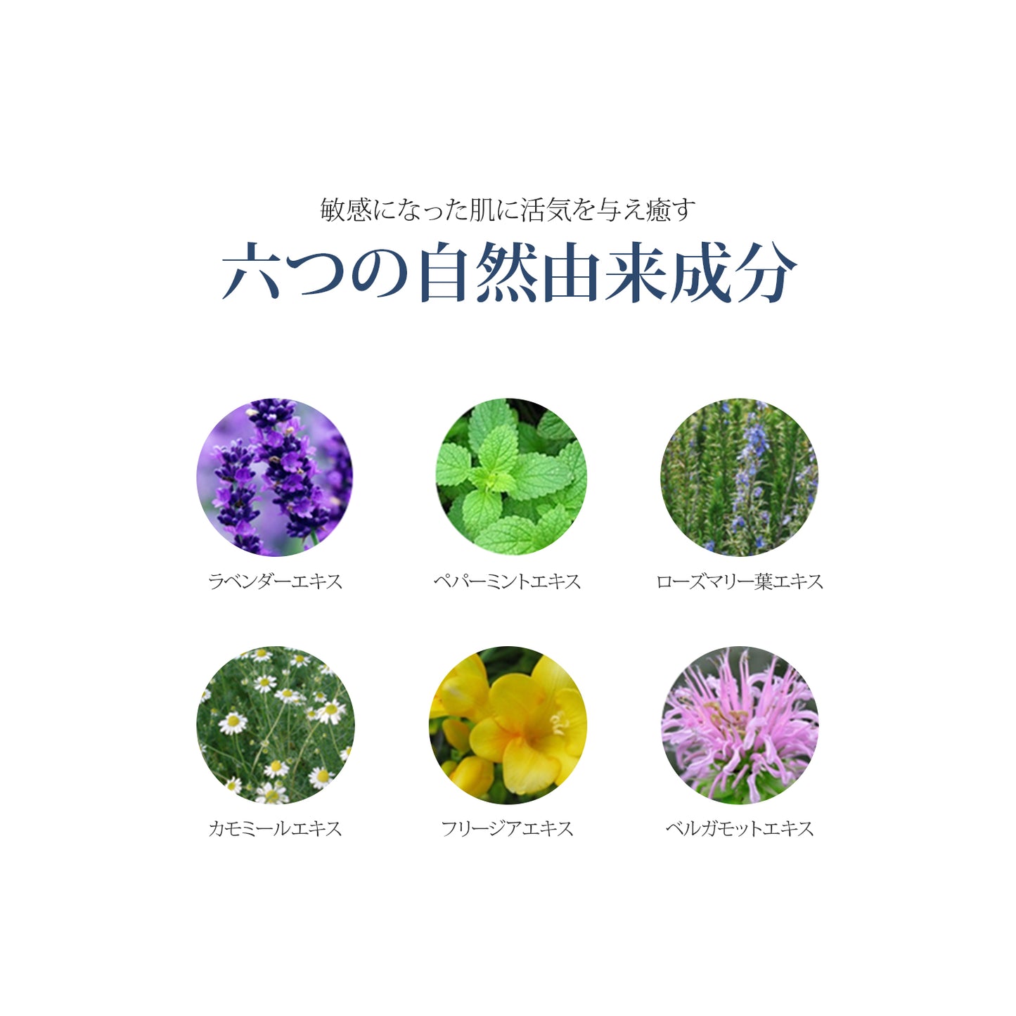 エルツティン プレステージEXトナー(130ml)