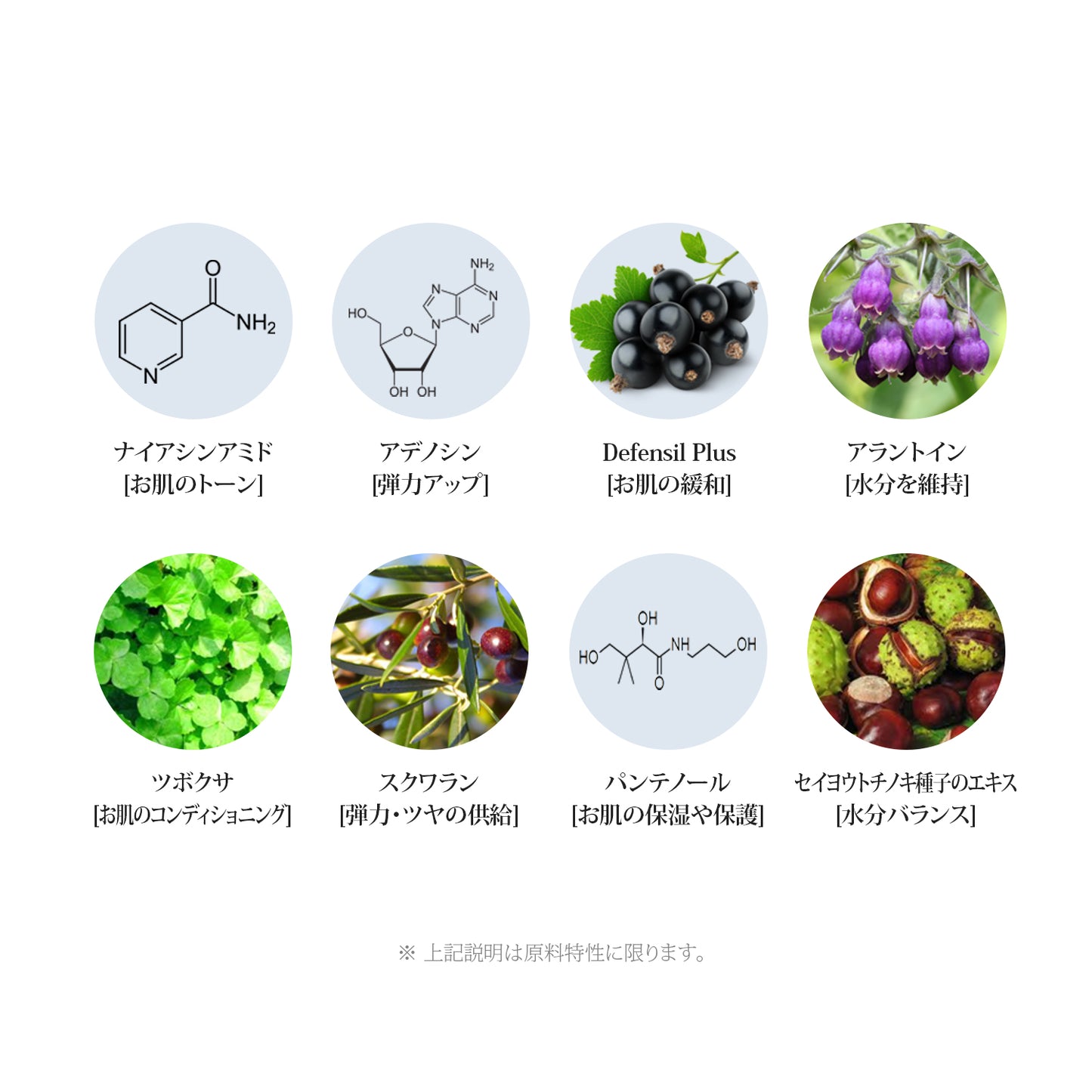 エルツティン EXプレステージクリーム(50ml)