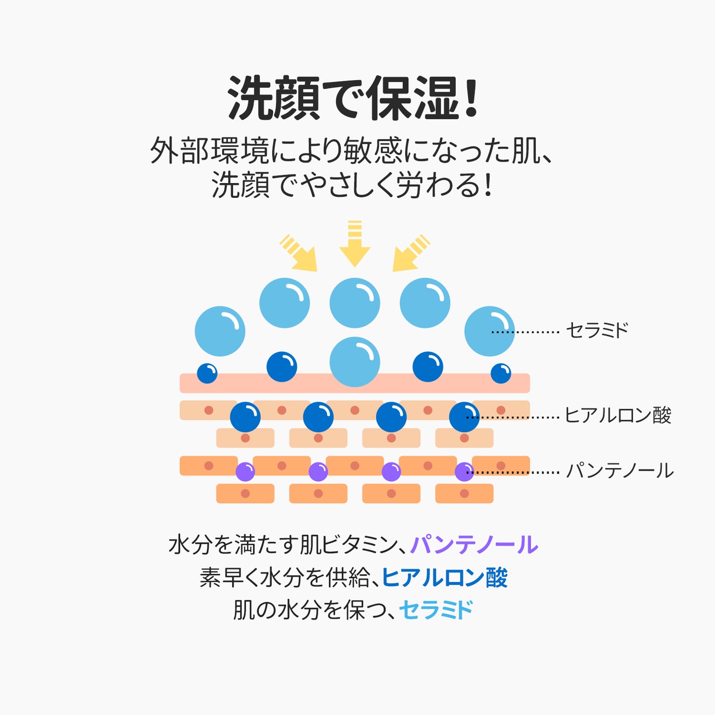 エルツティン シルククレンジングフォーム(150ml)