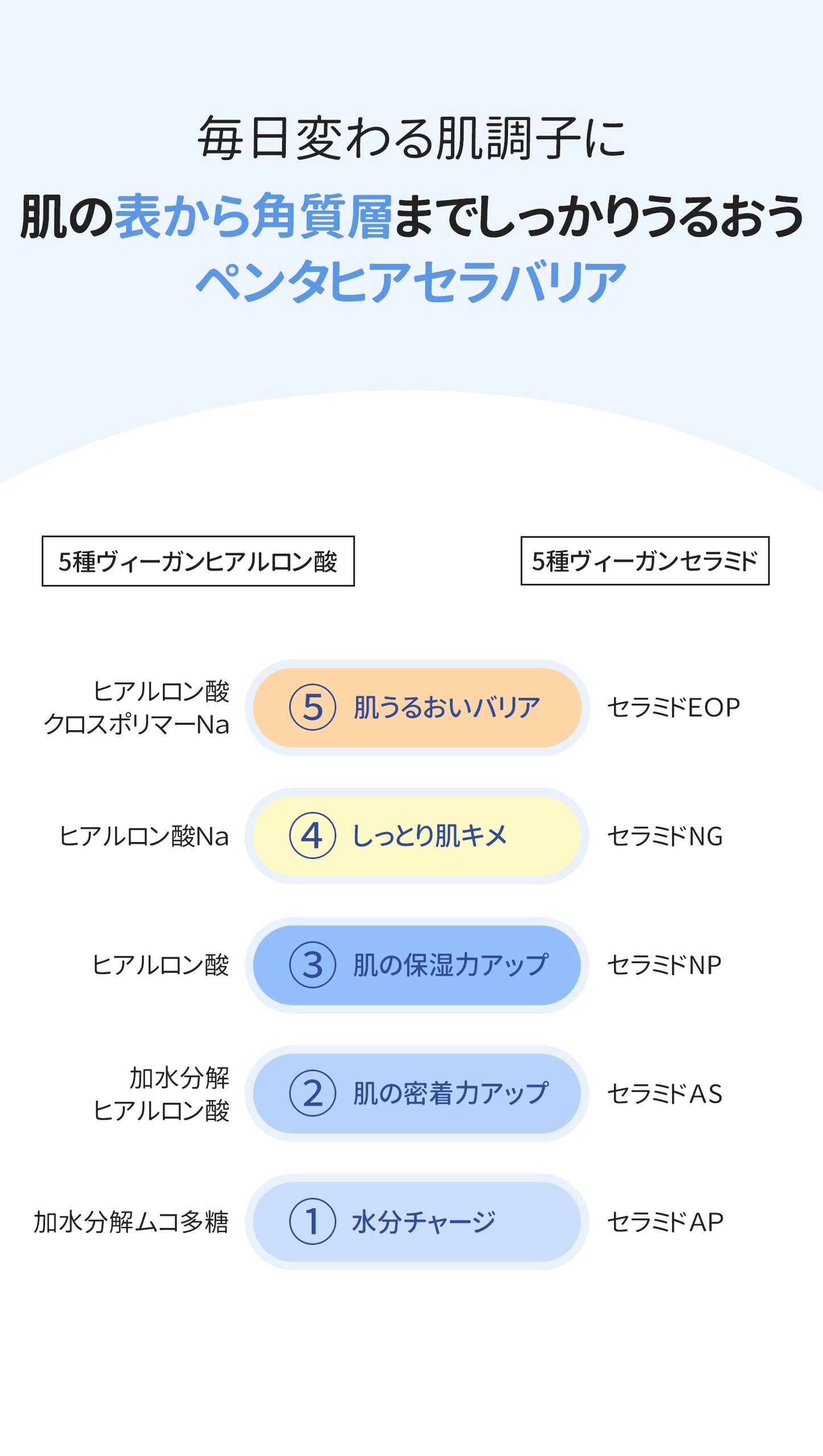 エルツティン ヒアセラ モイスチャークリーム