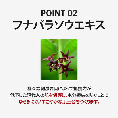 シルククッションRX JIN BirthDay SET(本品＋リフィル)