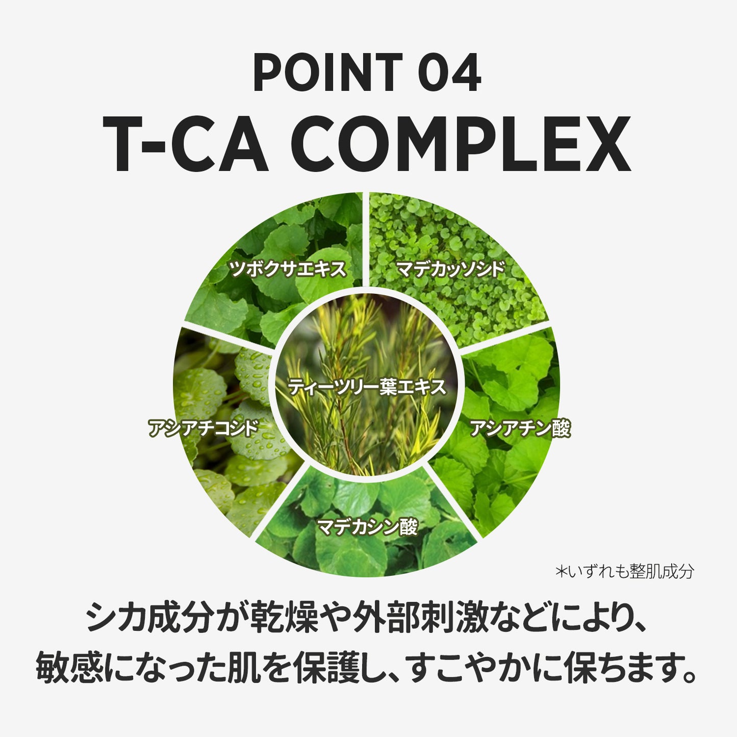 シルククッションRX JIN BirthDay SET(本品＋リフィル)