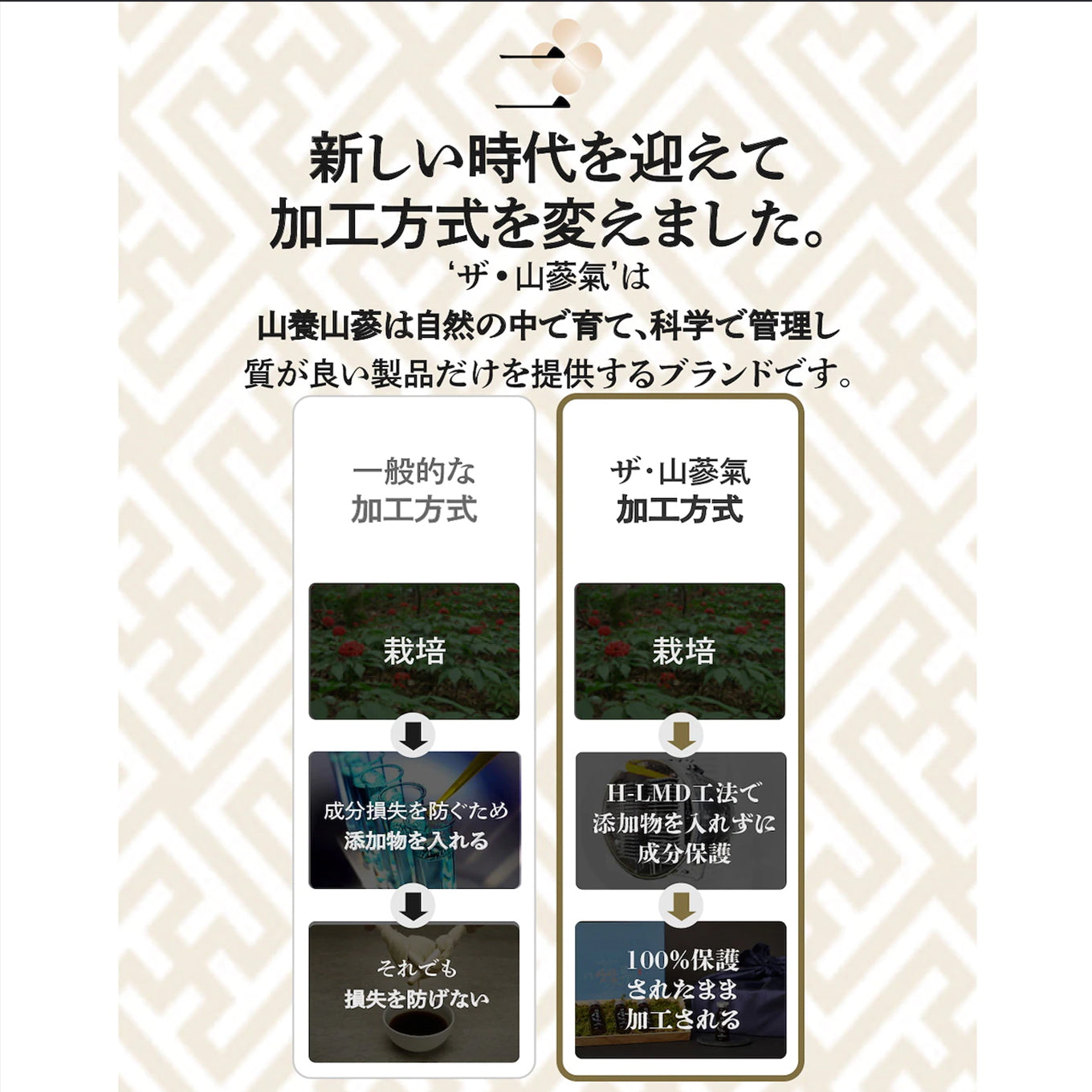 高級野生高麗人参ザ・山蔘氣(ザ・サンサムキ20ml) 30本入